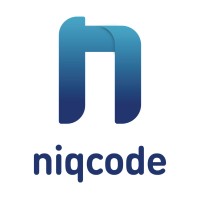 Niqcode Digital logo - Similar company to Cybe