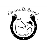 Eleonora De Lorenzi logo - Similar company to Studio Martini