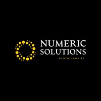 Numeric Solutions logo - Similar company to Numeric Hr Solutions
