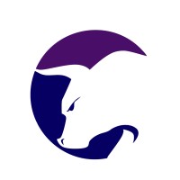 UVV Finance logo - Similar company to Escritec