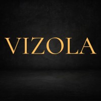 Vizola ED-Tech Solutions logo - Similar company to Squaredlabs