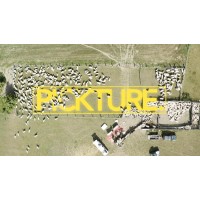 pickture. logo - Similar company to Square Stone Media