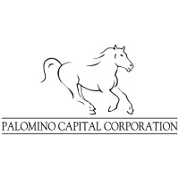 Palomino Capital Corp. logo - Similar company to Axium Infrastructure