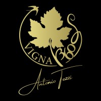Vigna 360° - Vini d'espressione territoriale logo - Similar company to Pieffe Serigrafia