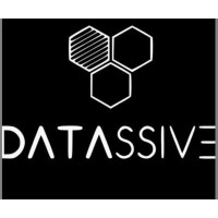Datassive Software logo - Similar company to Empreenda Com Digital
