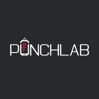 PunchLab logo - Similar company to Kit Radar Ltd