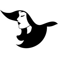 Vanissa logo - Similar company to V-Pulse