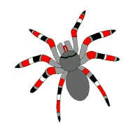 Spyderserve logo - Similar company to Virtual World Technologies, Inc