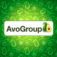 Avogroup logo - Similar company to Avo Group