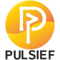 Pulsief logo - Similar company to Digital Nerds