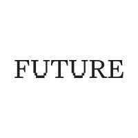 Future Strategy Group logo - Similar company to Transition Hub