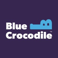 Blue Crocodile Money logo - Similar company to B2Bfinance.Com