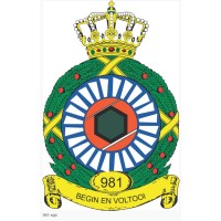 981 Squadron Component Maintenance logo - Similar company to Carprof Tyrepoint Zwolle