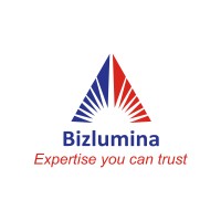 Bizlumina Services Private Limited logo - Similar company to Ritracks Consulting & Advisory Private Limited