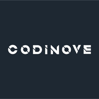 CODINOVE logo - Similar company to Codinova