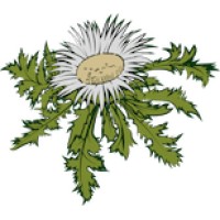N.U. Agrar GmbH logo - Similar company to Allianz Agrar