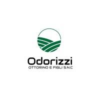ODORIZZI OTTORINO E FIGLI SNC logo - Similar company to Blockchain District Sa