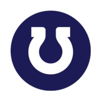 Blu Horseshoe logo - Similar company to H2X Global Limited