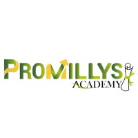 PROMILLYS ACADEMY logo - Similar company to Libarô Sarl