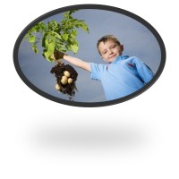Grow Your Own Potatoes logo - Similar company to Potato House. Home Of Quality Seed Potatoes