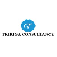 Tririga Consultany logo - Similar company to Tririga