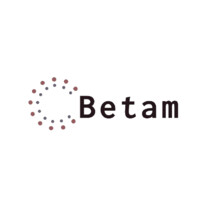 Betam Group Holdings logo - Similar company to Broken Chains