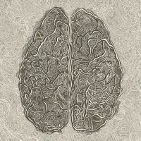 Thinking Minds logo - Similar company to Antropia