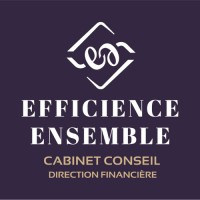 Efficience Ensemble logo - Similar company to Logic2Profit - Finance Business Partner Expertise