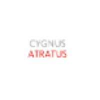 Cygnus Atratus
