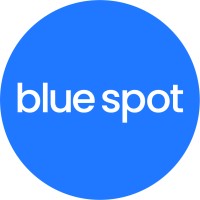 Blue Spot IT Solutions logo - Similar company to Medhurst It Solutions