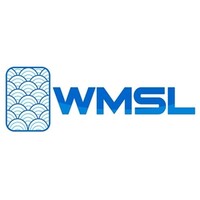 Wealth Management System Limited logo - Similar company to Goldtier Technologies