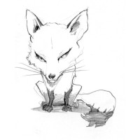 Fierce Fox Studio logo - Similar company to Studio Interakcja