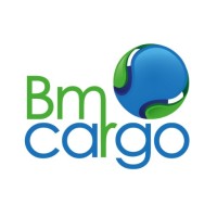 BM CARGO logo - Similar company to Eps Int (Express Parcel Service)