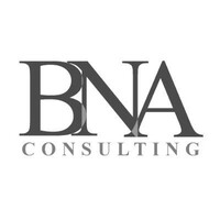BNA Consulting Services Ltd logo - Similar company to V4Voip Ltd