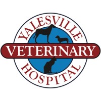 Yalesville Veterinary Hospital