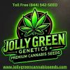 Jolly Green Genetics logo - Similar company to Anubis Group Ag