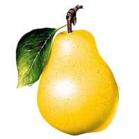 Tulevikuhariduse Pirn