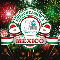 Grupo ETS México logo - Similar company to Magnify