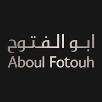 Aboul Fotouh Automotive logo - Similar company to 01 Electronics
