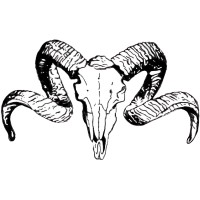 Ram Management & Solutions LLC logo - Similar company to Megaptera, Inc.