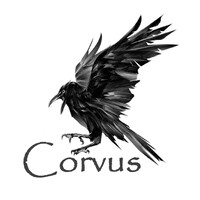 Corvus.dk logo - Similar company to We Love People