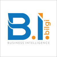 BIBILGI Business Solutions logo - Similar company to Esenworks