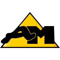 AM seyse logo - Similar company to Progresar Srl