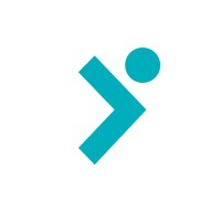 Next Level Group logo - Similar company to Higher Bit Solutions