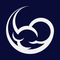 Noovolari logo - Similar company to Besharp