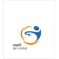 Asociatia Copiii de Cristal logo - Similar company to Asociatia Tot Mai Verde