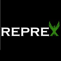 REPREX logo - Similar company to Reprex: Big Data That Works For All
