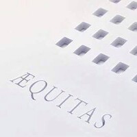 Aequitas Expert Witness Service Ltd logo - Similar company to X-Act Computer Forensics And Data Recovery