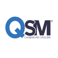 QSM S.r.l. logo - Similar company to Link Consulenza