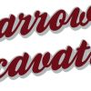 Barrows Excavation logo - Similar company to Professional Cabling Solutions